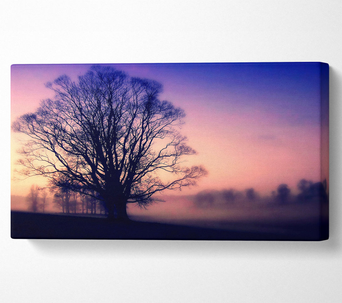  A Canvas Print of Scots Mist Canvas Art