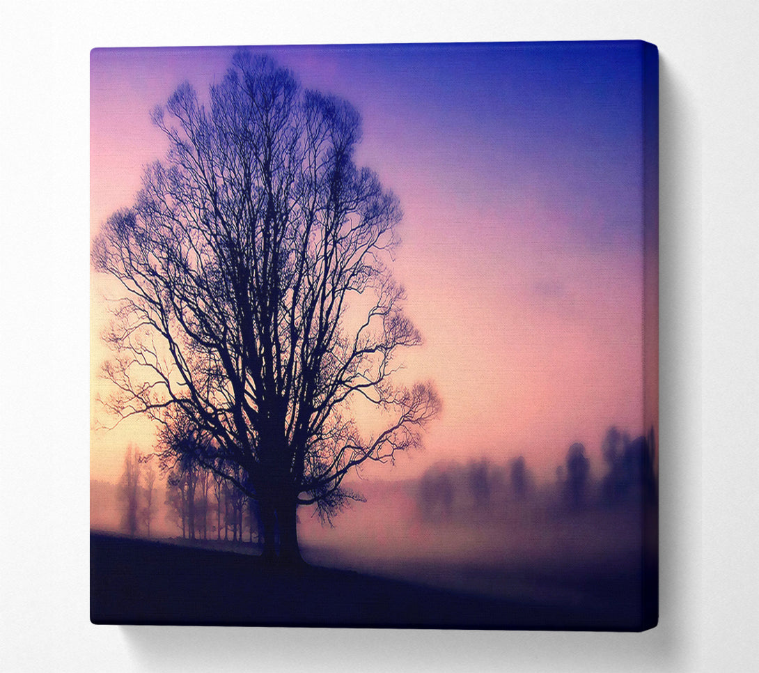  A Canvas Print of Scots Mist Canvas Art
