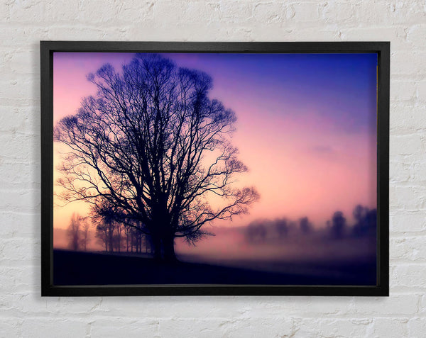 Schottischer Nebel