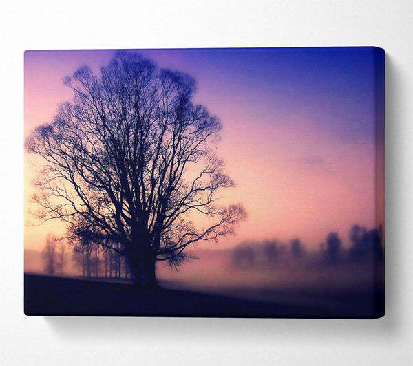  A Canvas Print of Scots Mist Canvas Art