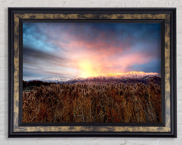 Mt Timpanogos Alpenglow Framed Print