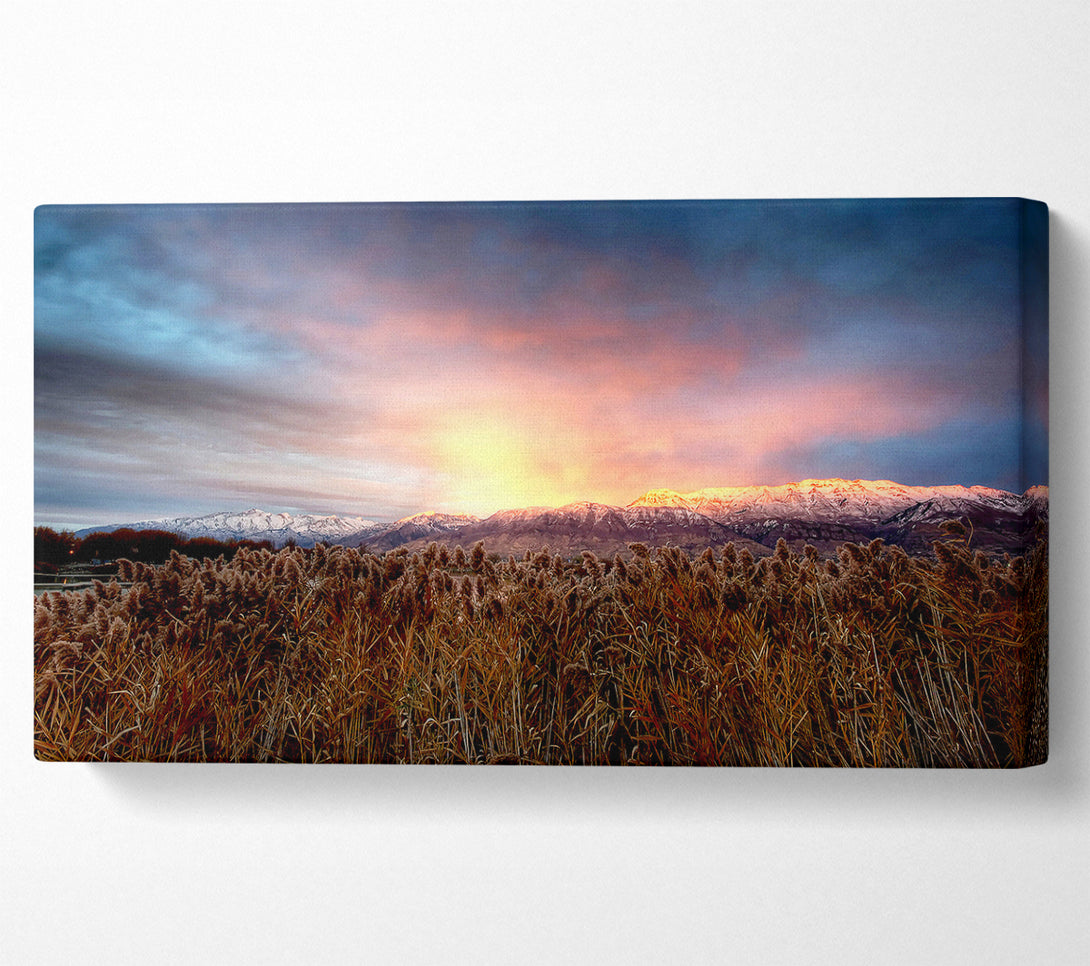  A Canvas Print of Mt Timpanogos Alpenglow Canvas Print