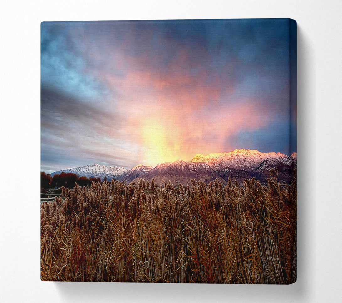  A Canvas Print of Mt Timpanogos Alpenglow Canvas Print