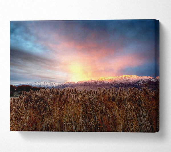  A Canvas Print of Mt Timpanogos Alpenglow Canvas Print