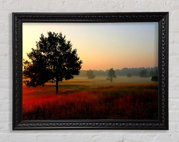 Herbst Sonnenaufgang Baum im Nebel
