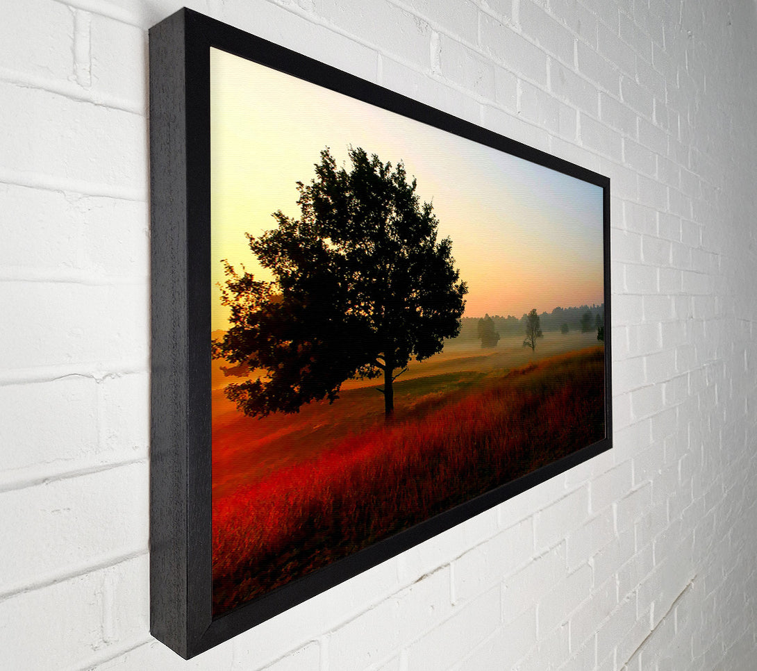  A Canvas Print of Autumn Sunrise Tree In The Mist Canvas Print