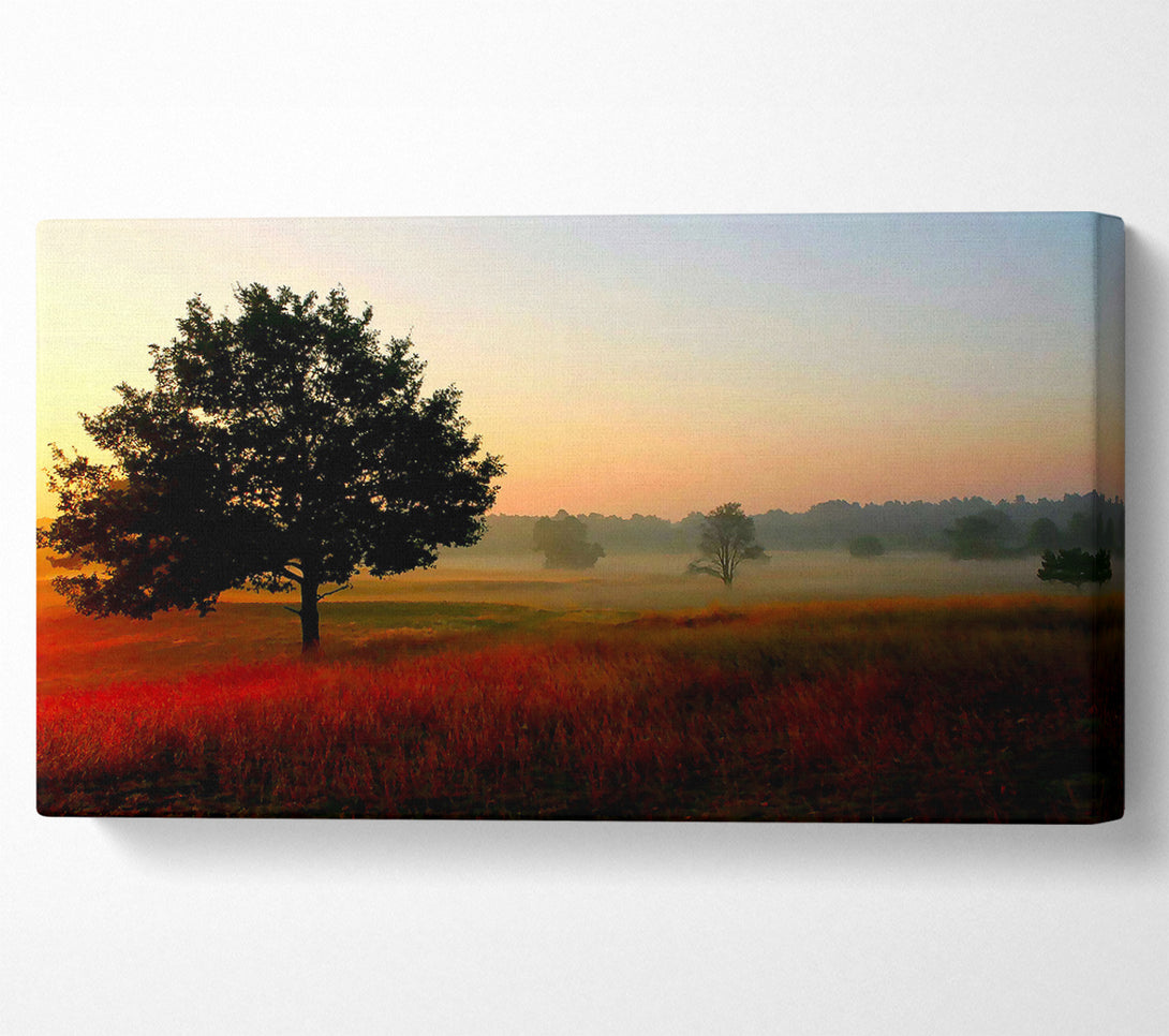  A Canvas Print of Autumn Sunrise Tree In The Mist Canvas Print