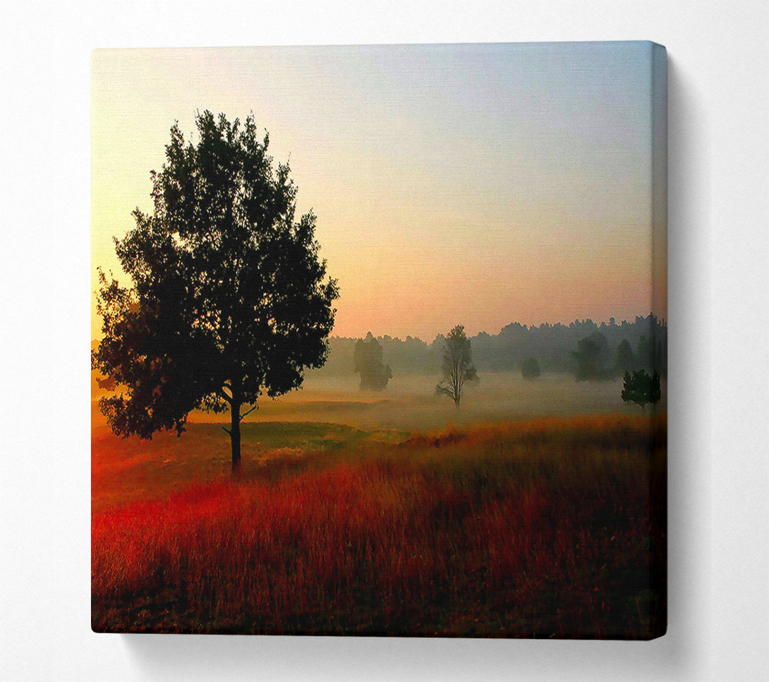  A Canvas Print of Autumn Sunrise Tree In The Mist Canvas Print