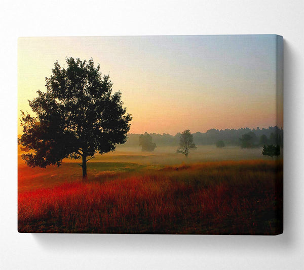  A Canvas Print of Autumn Sunrise Tree In The Mist Canvas Print