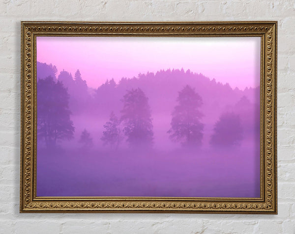 Lila Waldnebel