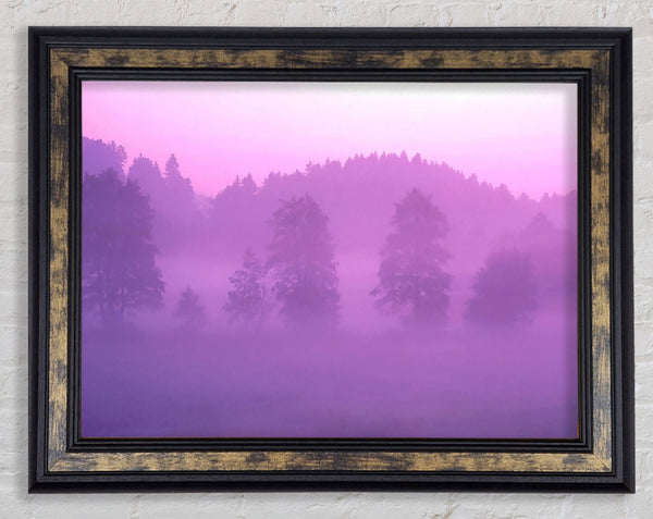 Lilac Forest Mist Framed Print