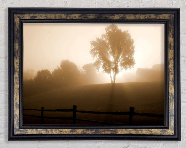 Foggy Morning Framed Print