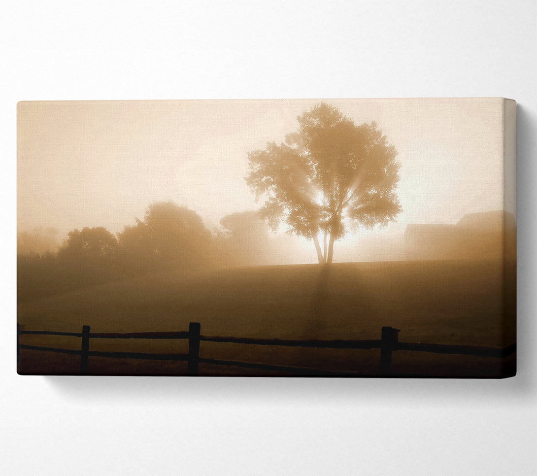  A Canvas Print of Foggy Morning Canvas Art
