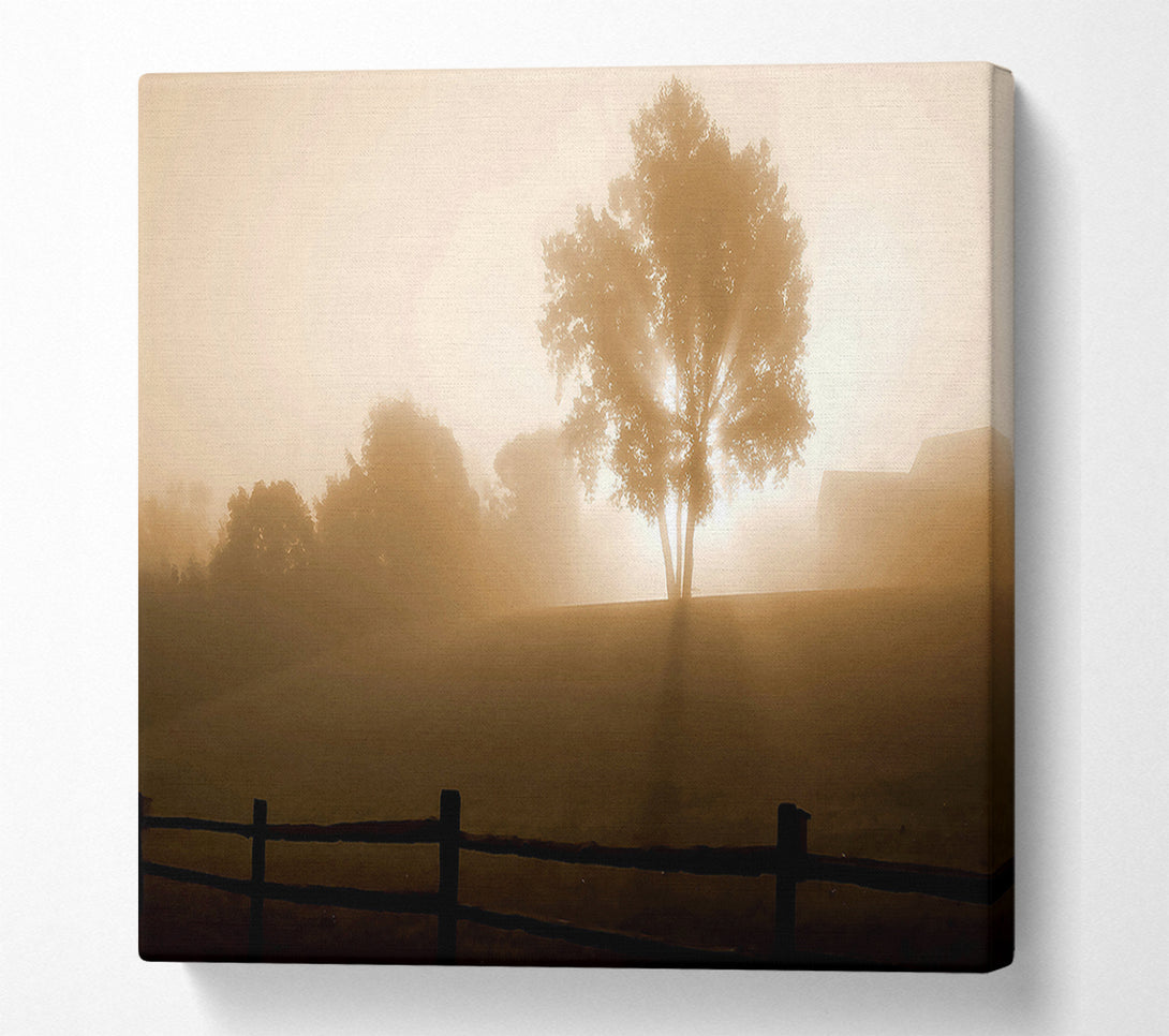  A Canvas Print of Foggy Morning Canvas Art