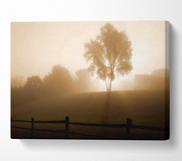  A Canvas Print of Foggy Morning Canvas Art