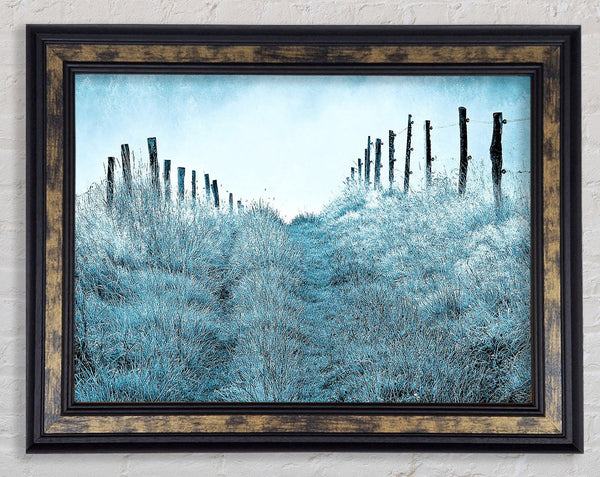 Winter Morning Mist Framed Print