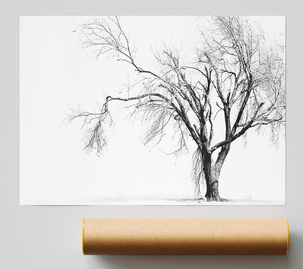 Cold Winter Tree Print