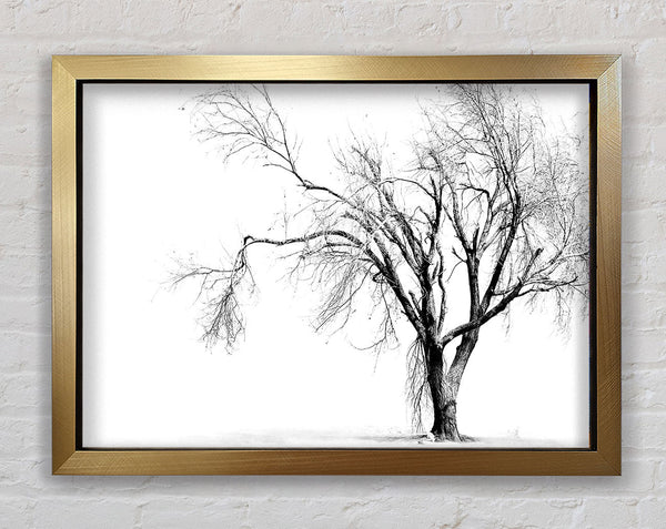 Cold Winter Tree Framed Print
