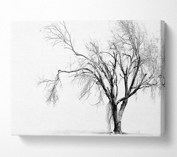  A Canvas Print of Cold Winter Tree Canvas Art