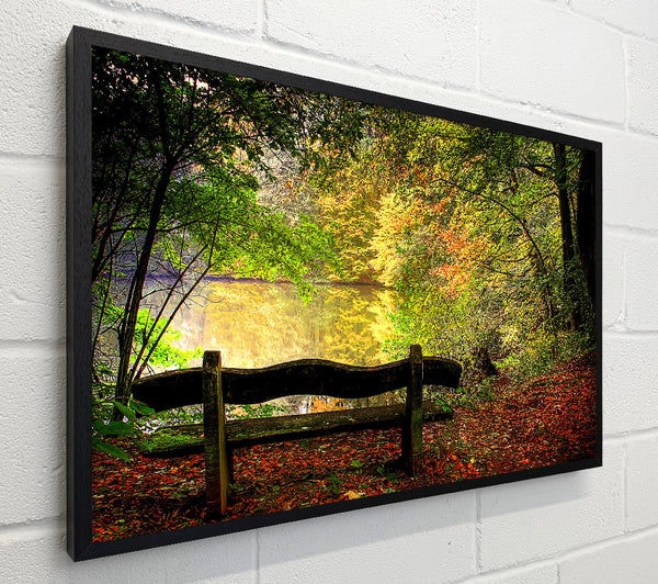 Empty Bench In Fall Scene