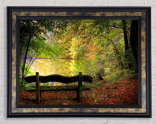 Empty Bench In Fall Scene Framed Print