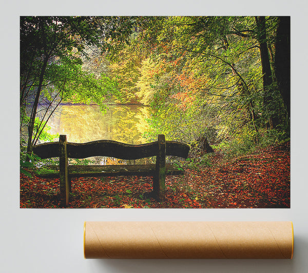 Empty Bench In Fall Scene Giclee Print