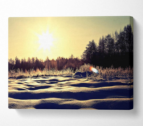  A Canvas Print of Sunny Snowy Day Canvas Wall Art