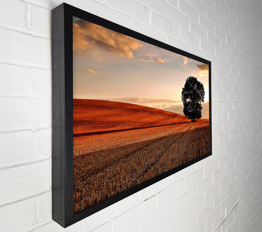  A Canvas Print of Lonesome Tree In The Field Autumn Canvas Art