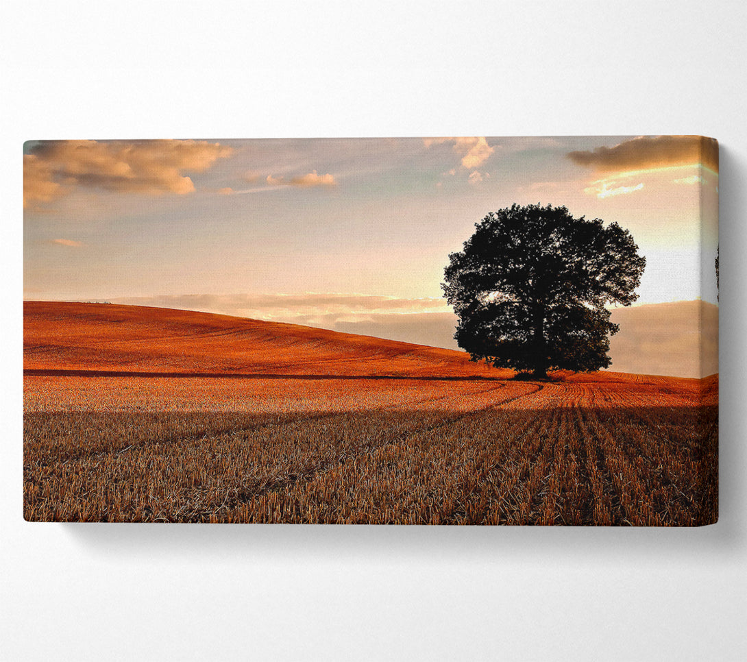  A Canvas Print of Lonesome Tree In The Field Autumn Canvas Art