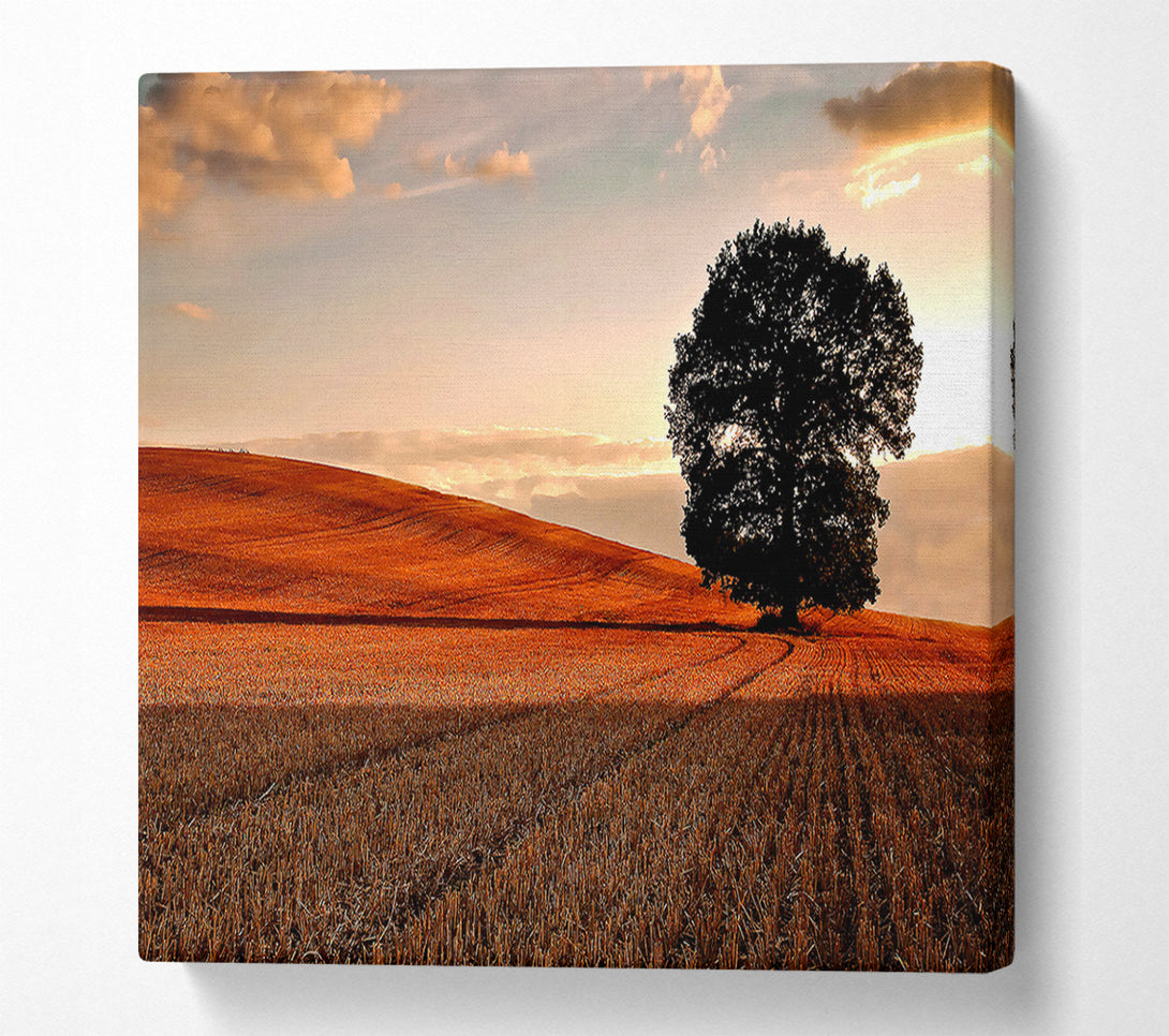  A Canvas Print of Lonesome Tree In The Field Autumn Canvas Art