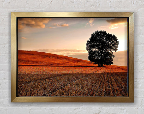 Einsamer Baum im Feld Herbst