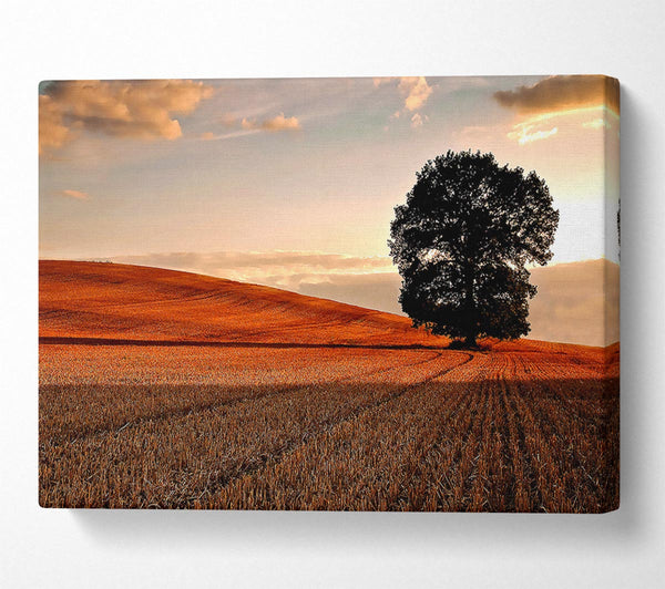  A Canvas Print of Lonesome Tree In The Field Autumn Canvas Art