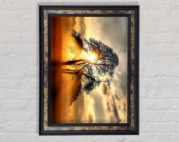 Fog Across The Field Framed Print