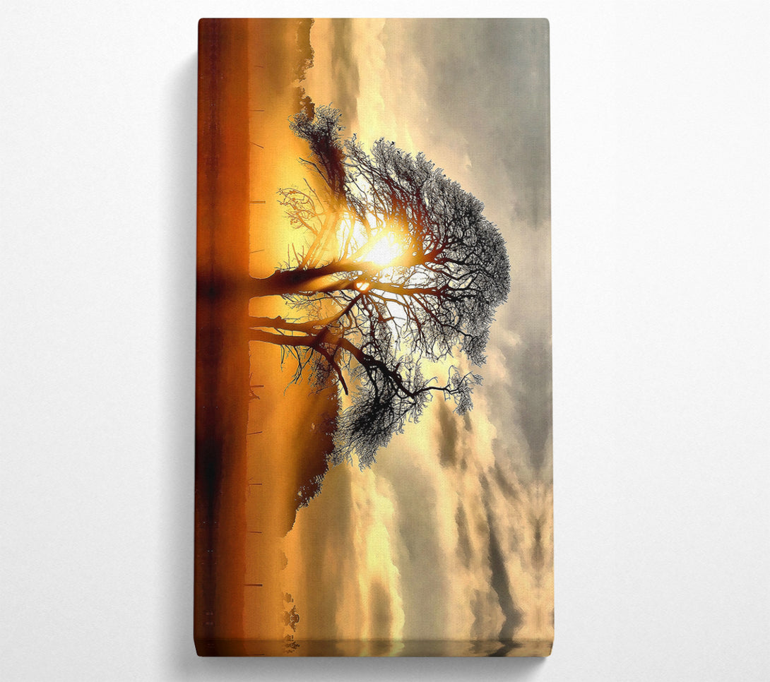  A Canvas Print of Fog Across The Field Canvas Art