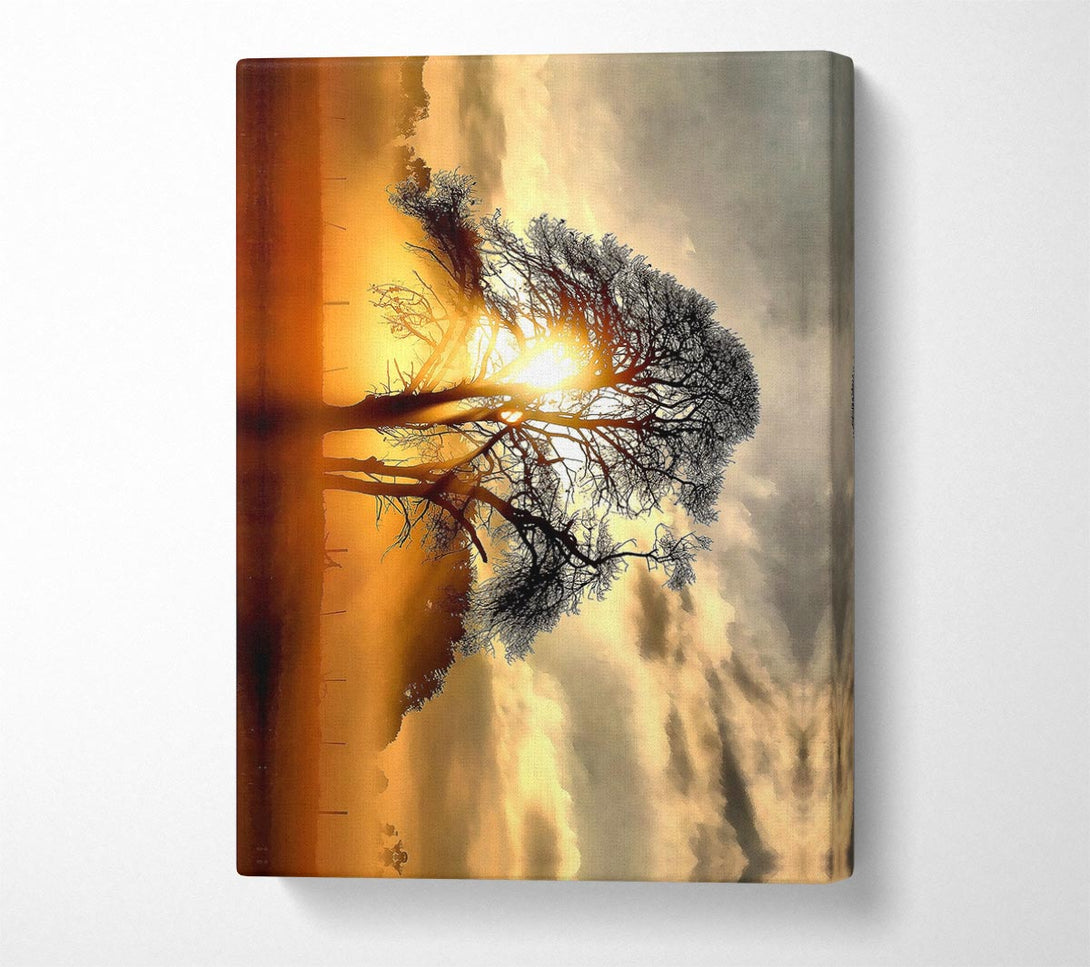  A Canvas Print of Fog Across The Field Canvas Art