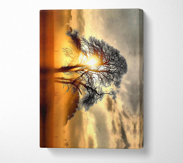  A Canvas Print of Fog Across The Field Canvas Art