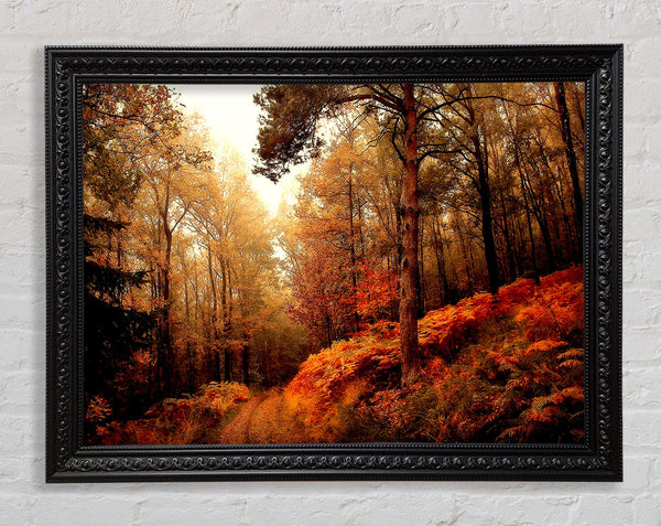 Mountain Path Framed Print