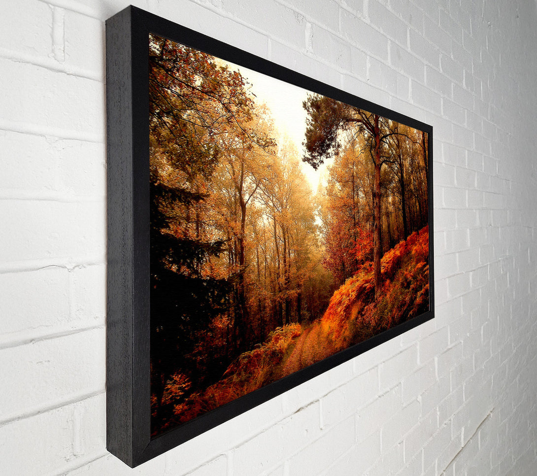  A Canvas Print of Mountain Path Canvas Print
