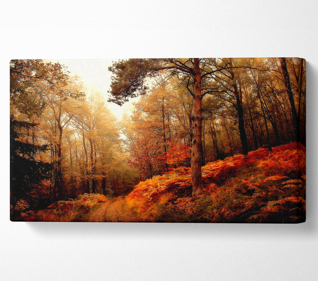  A Canvas Print of Mountain Path Canvas Print