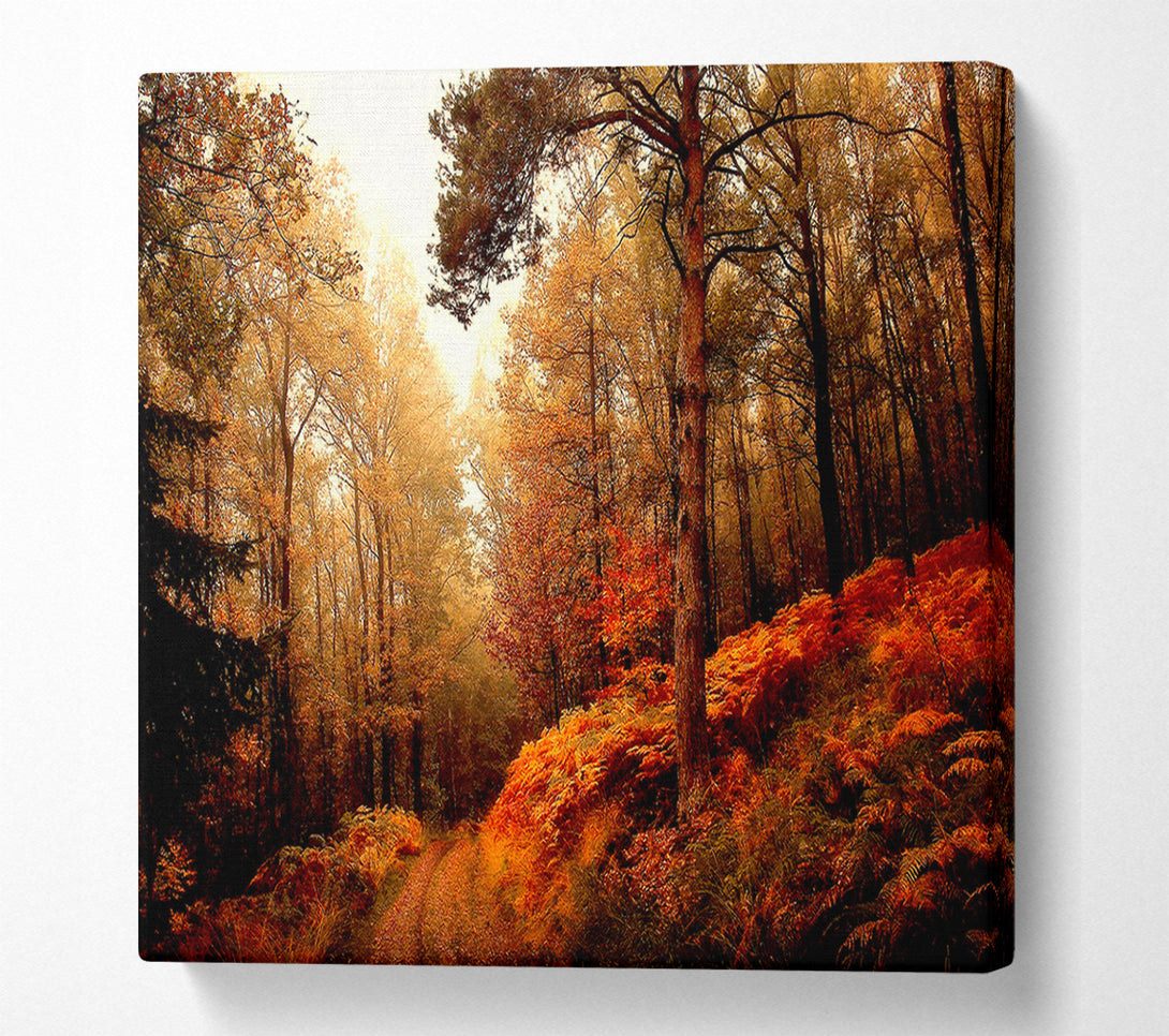  A Canvas Print of Mountain Path Canvas Print