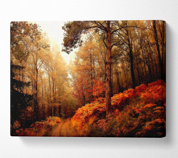 A Canvas Print of Mountain Path Canvas Print