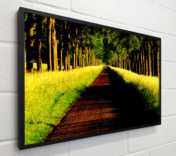 Tree Alley