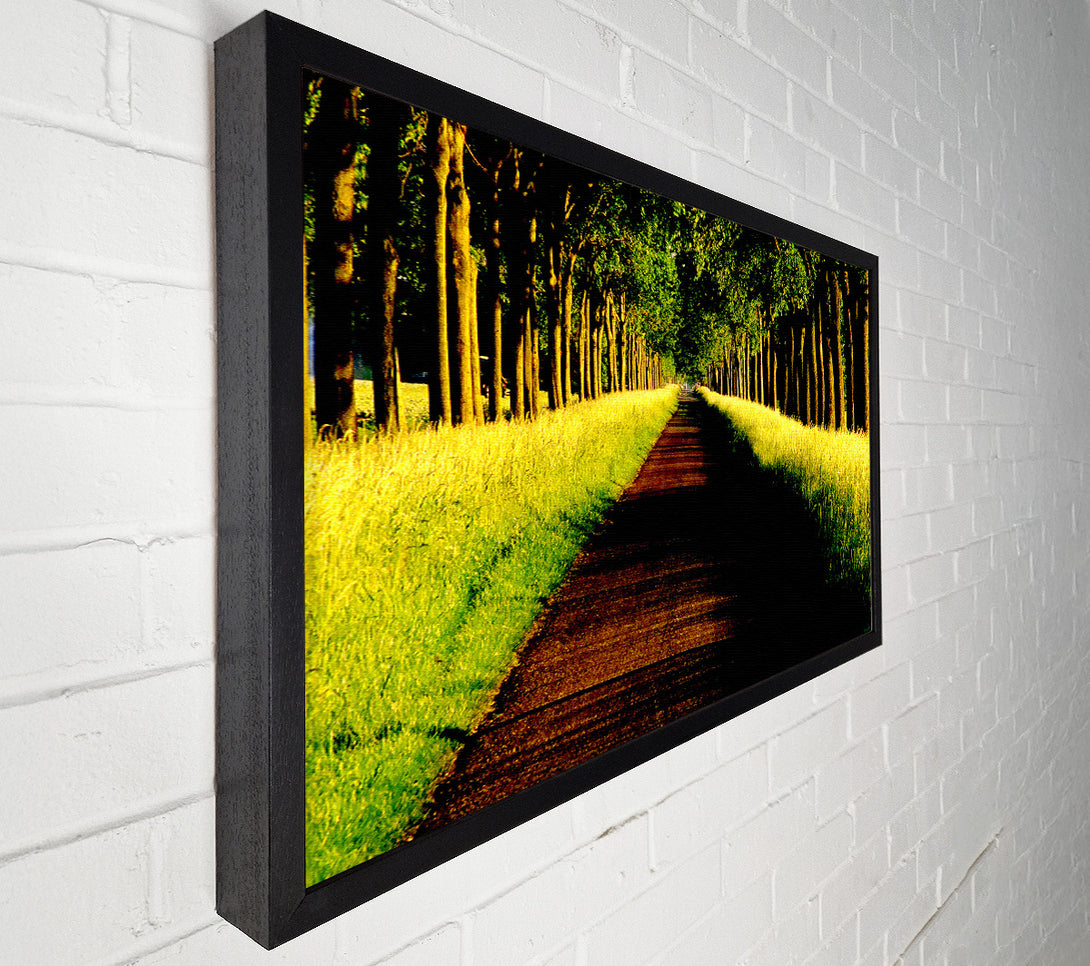  A Canvas Print of Tree Alley Canvas Print