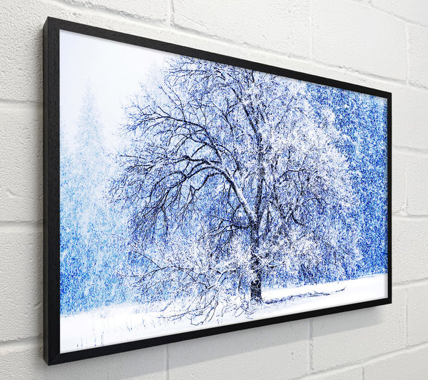 Snow Falling