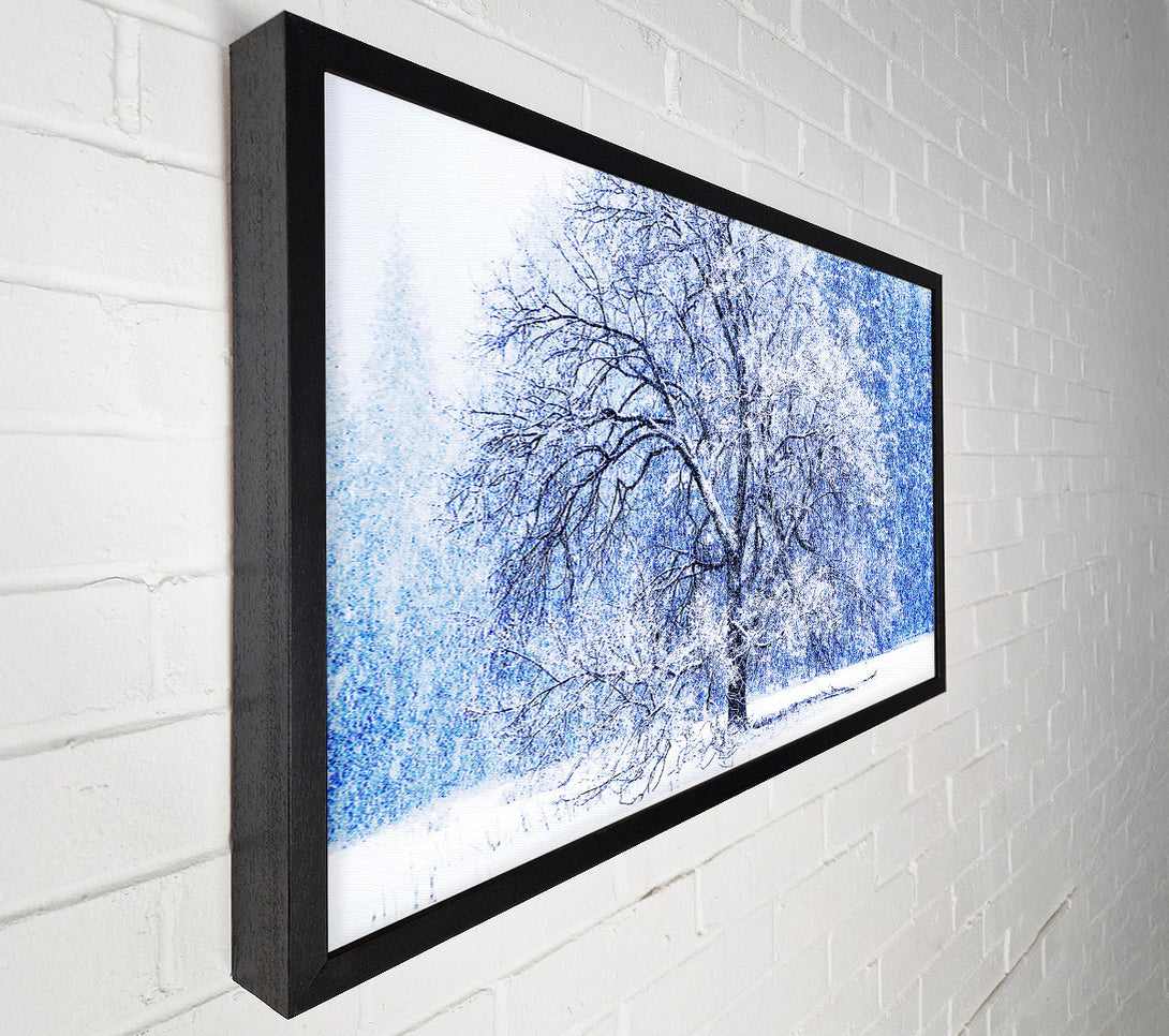  A Canvas Print of Snow Falling Canvas Wall Art