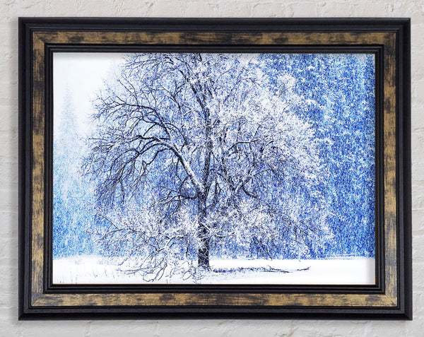 Snow Falling Framed Print