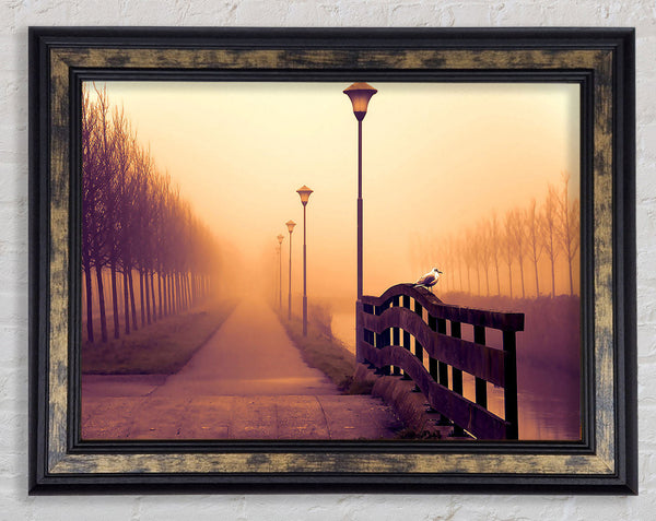 Foggy Fall Day Framed Print