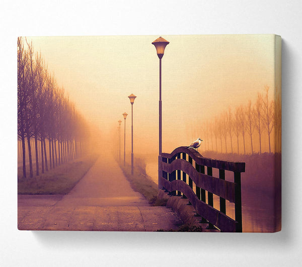  A Canvas Print of Foggy Fall Day Canvas Art