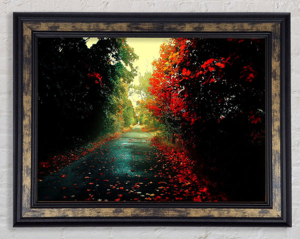 Red Trees On The Autumn path Framed Print