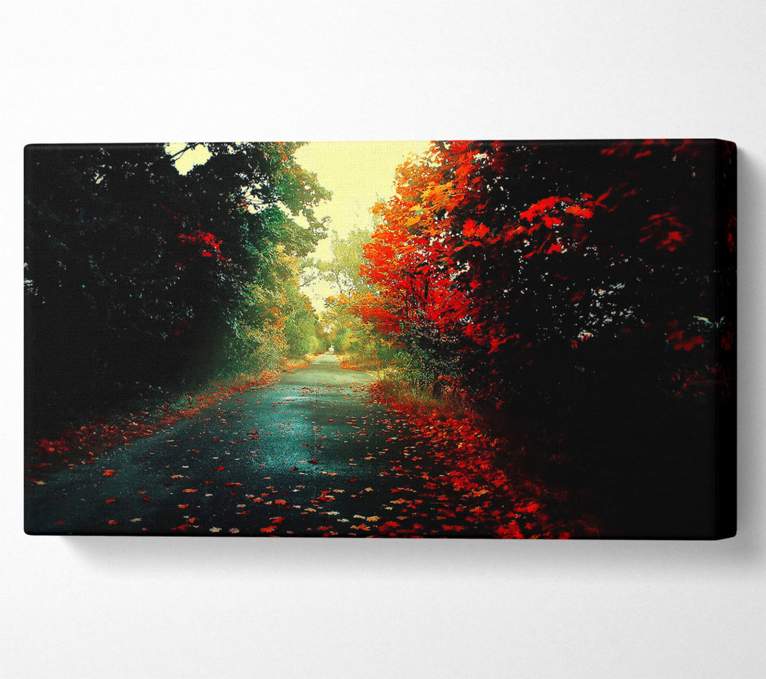  A Canvas Print of Red Trees On The Autumn path Canvas Art